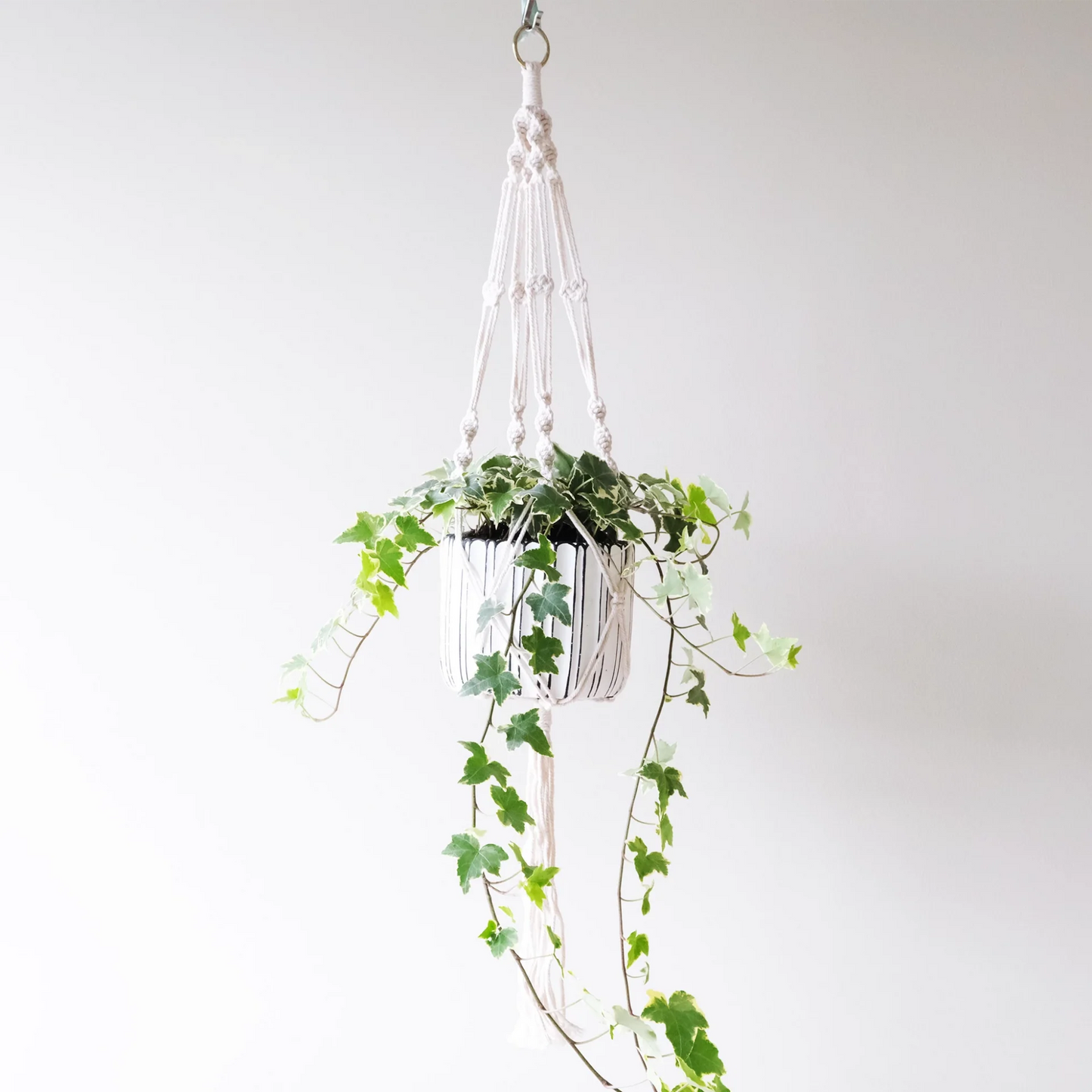 Macrame Plant Hanger